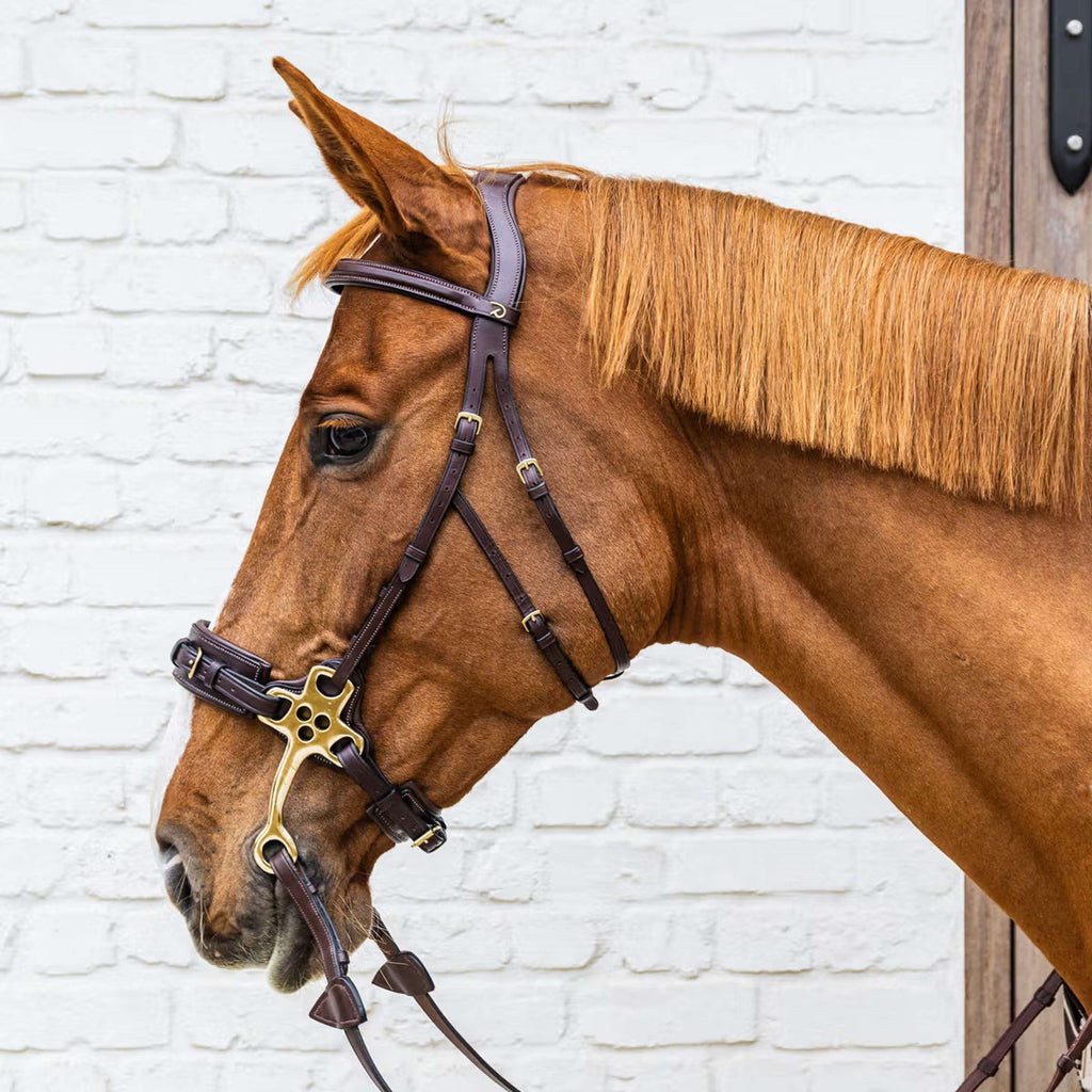Dyon Bride Hackamore Marron