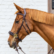 Dyon Bride Hackamore Marron
