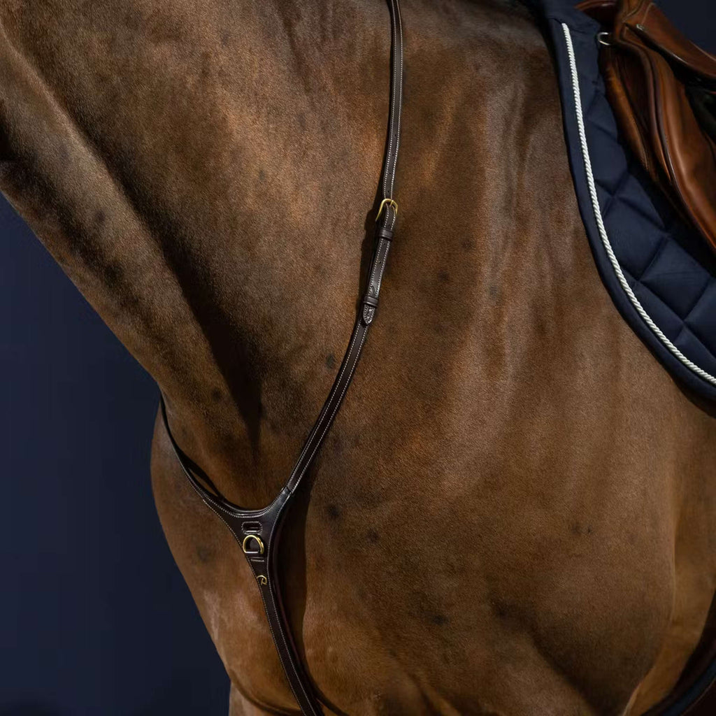Dyon Martingale Yoke Marron