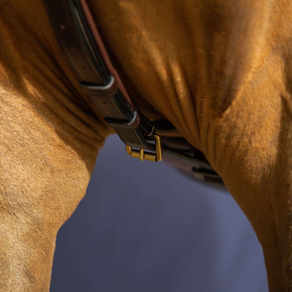 Dyon Martingale Yoke Marron