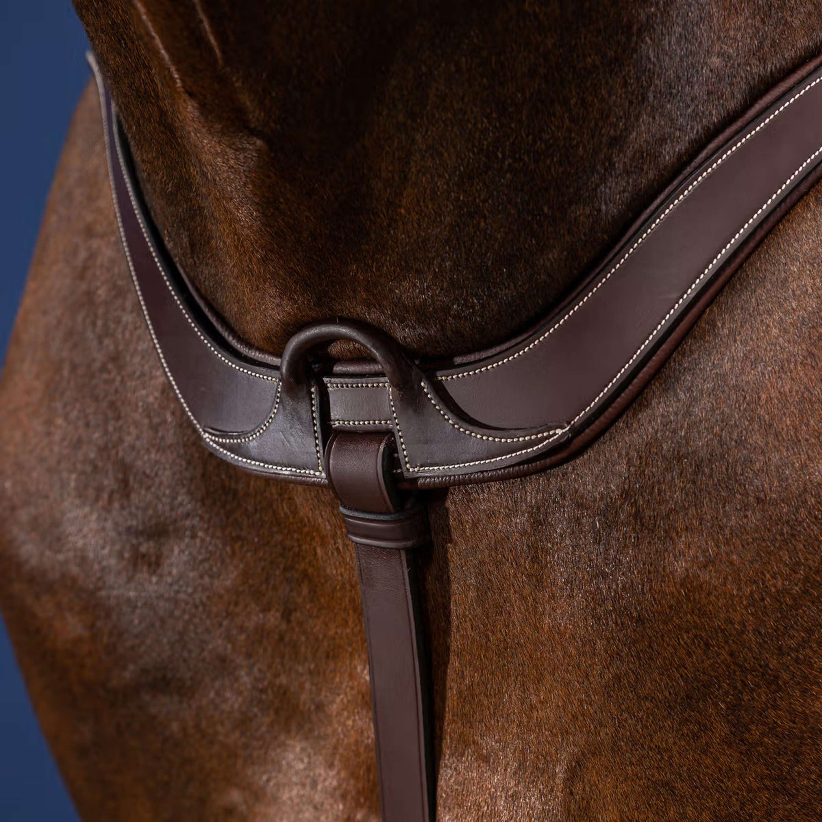 Dyon Collier de Chasse Anatomical Marron/Argent