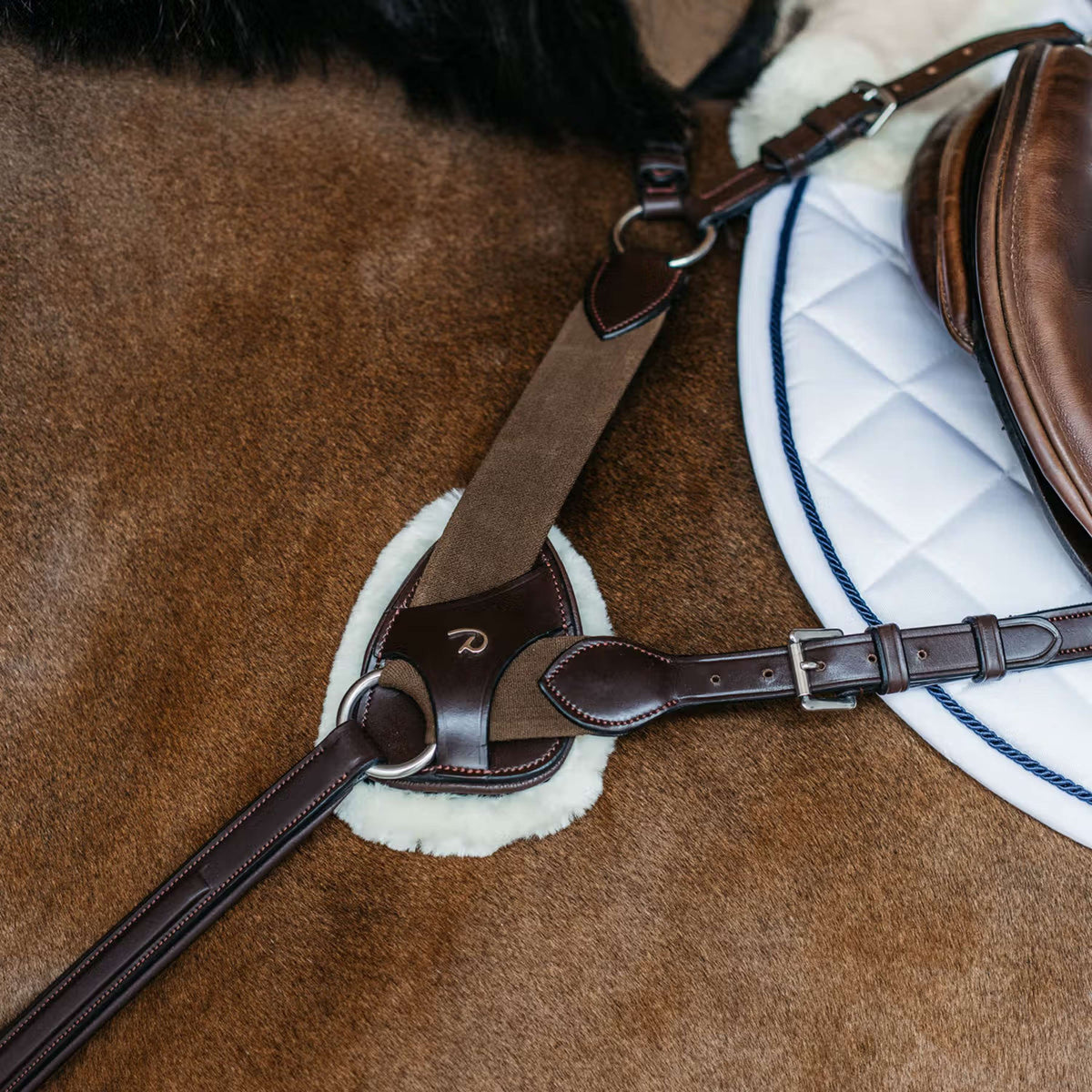 Dyon Collier de Chasse 5 points New English avec Élastique Marron