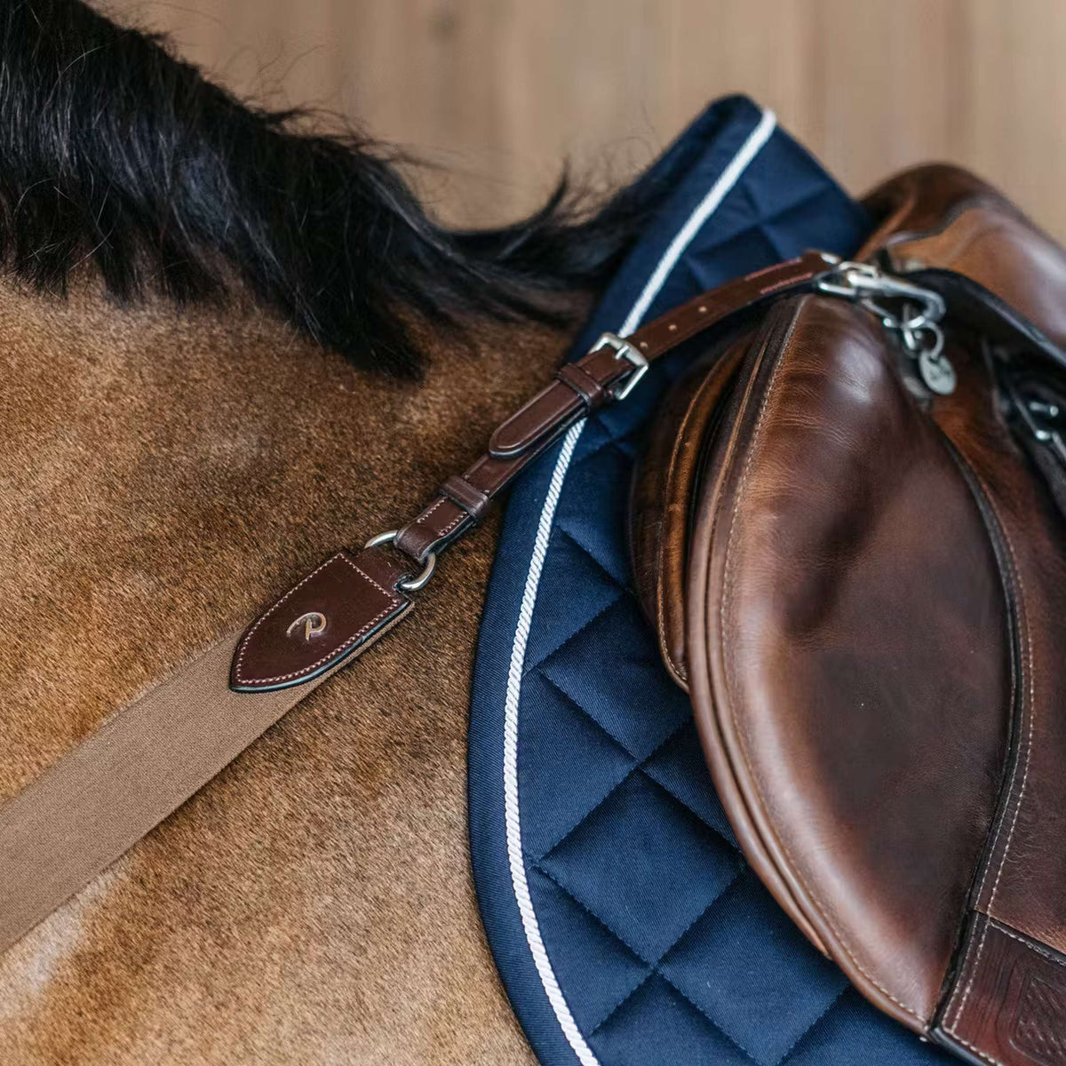 Dyon Collier de Chasse New English avec Élastique Marron