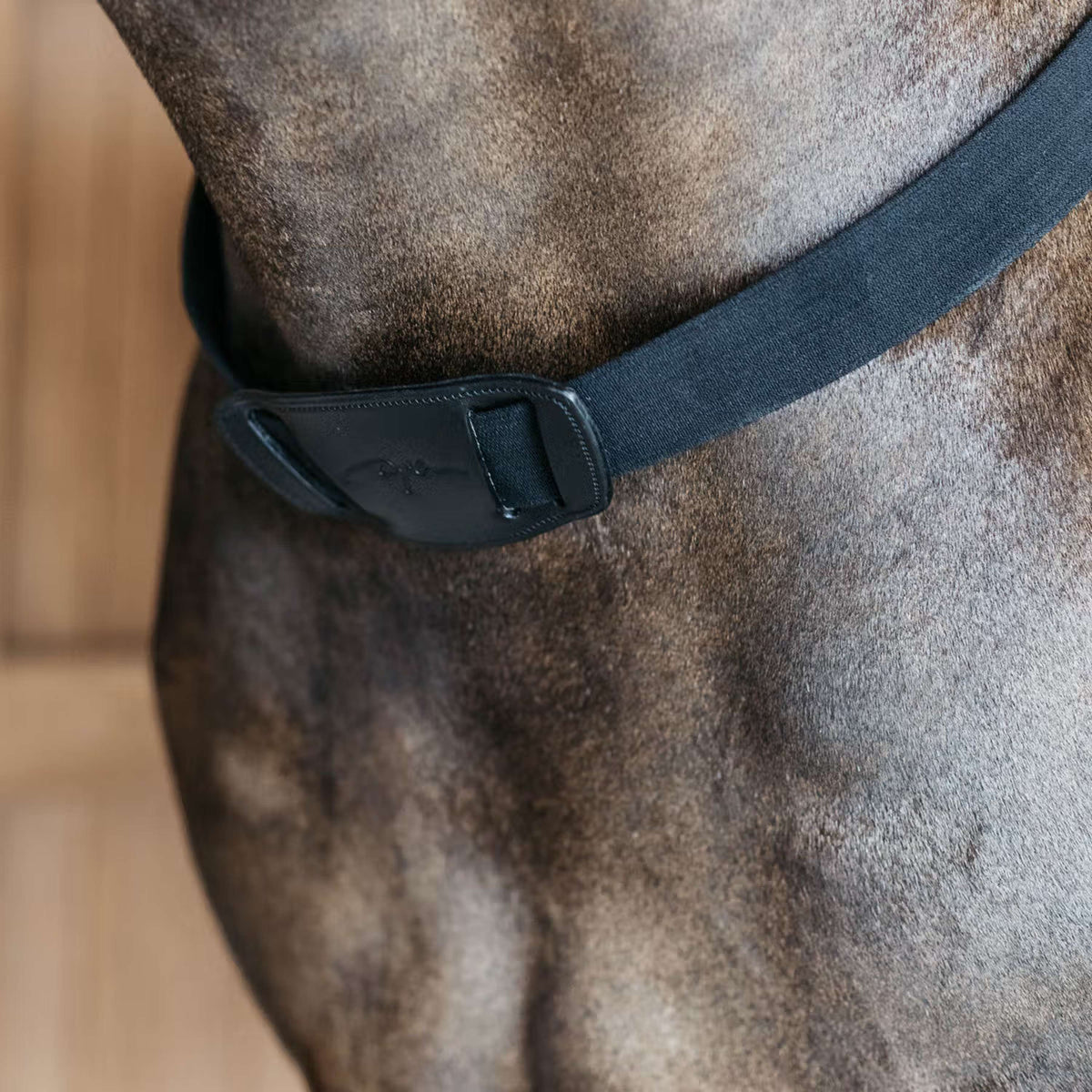 Dyon Collier de Chasse New English avec Élastique Noir
