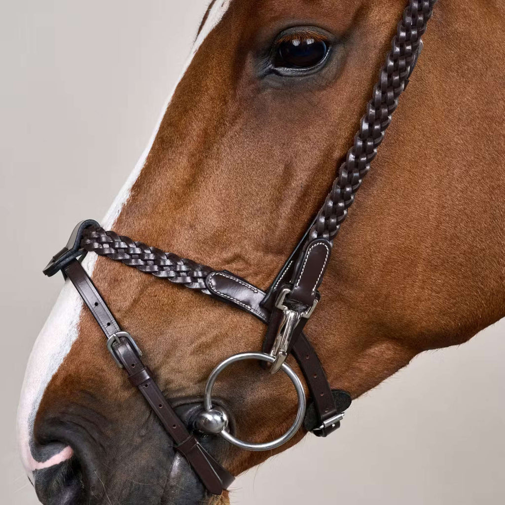 Dyon Bride Training Marron