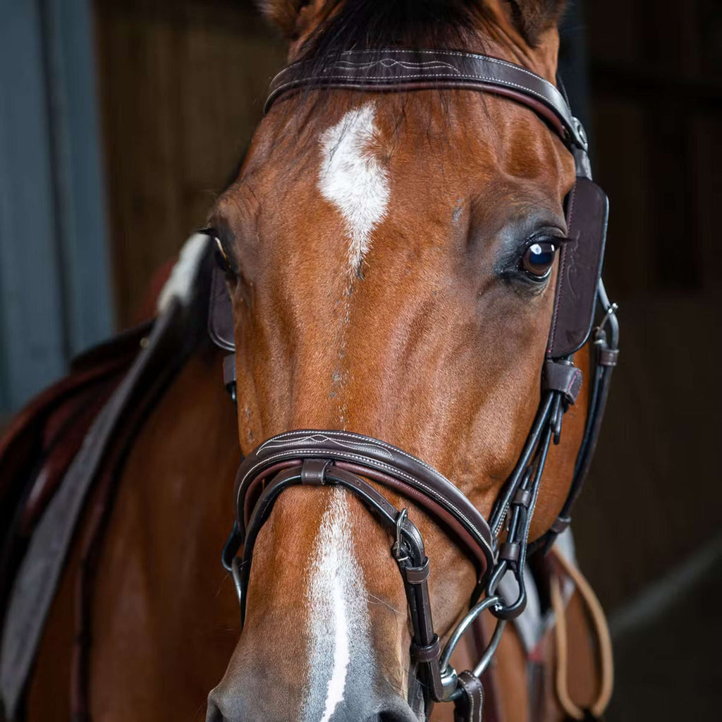 Dyon Blinkers Marron