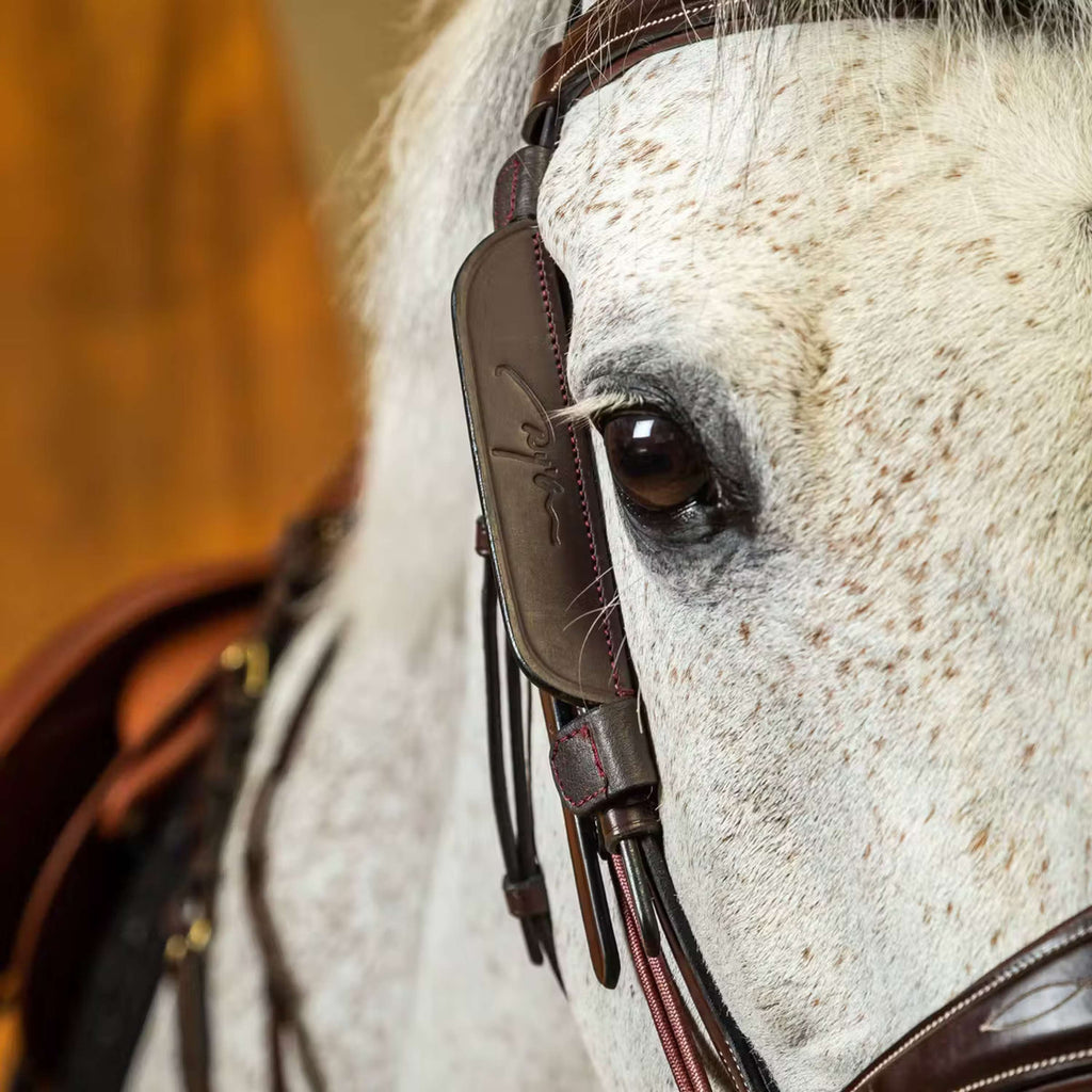 Dyon Blinkers Marron