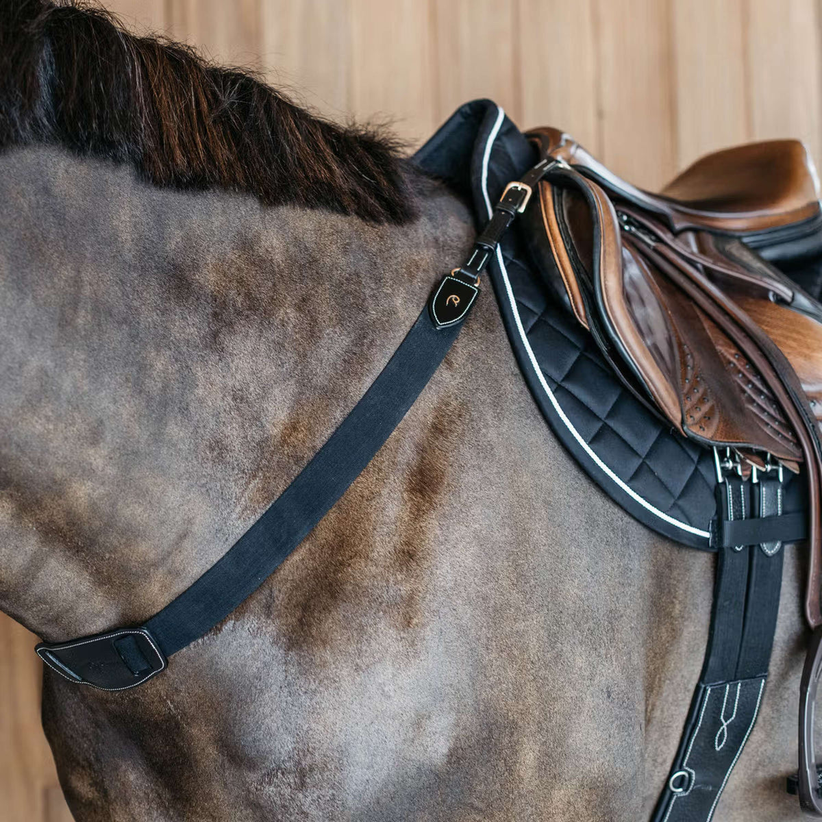 Dyon Collier de Chasse Elastic Noir