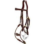 Dyon Bride Elastic Hybrid Marron