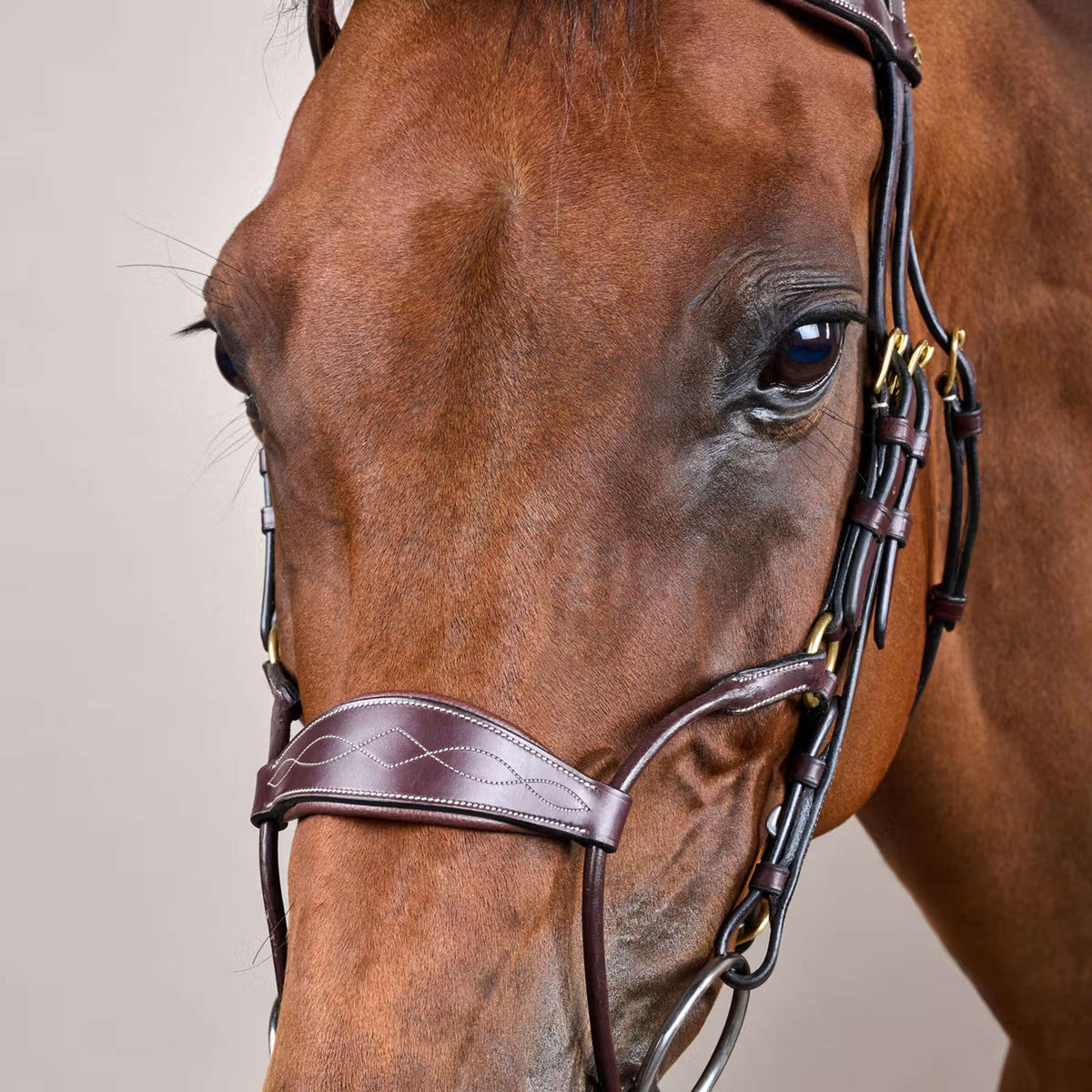Dyon Bride Hybrid Marron