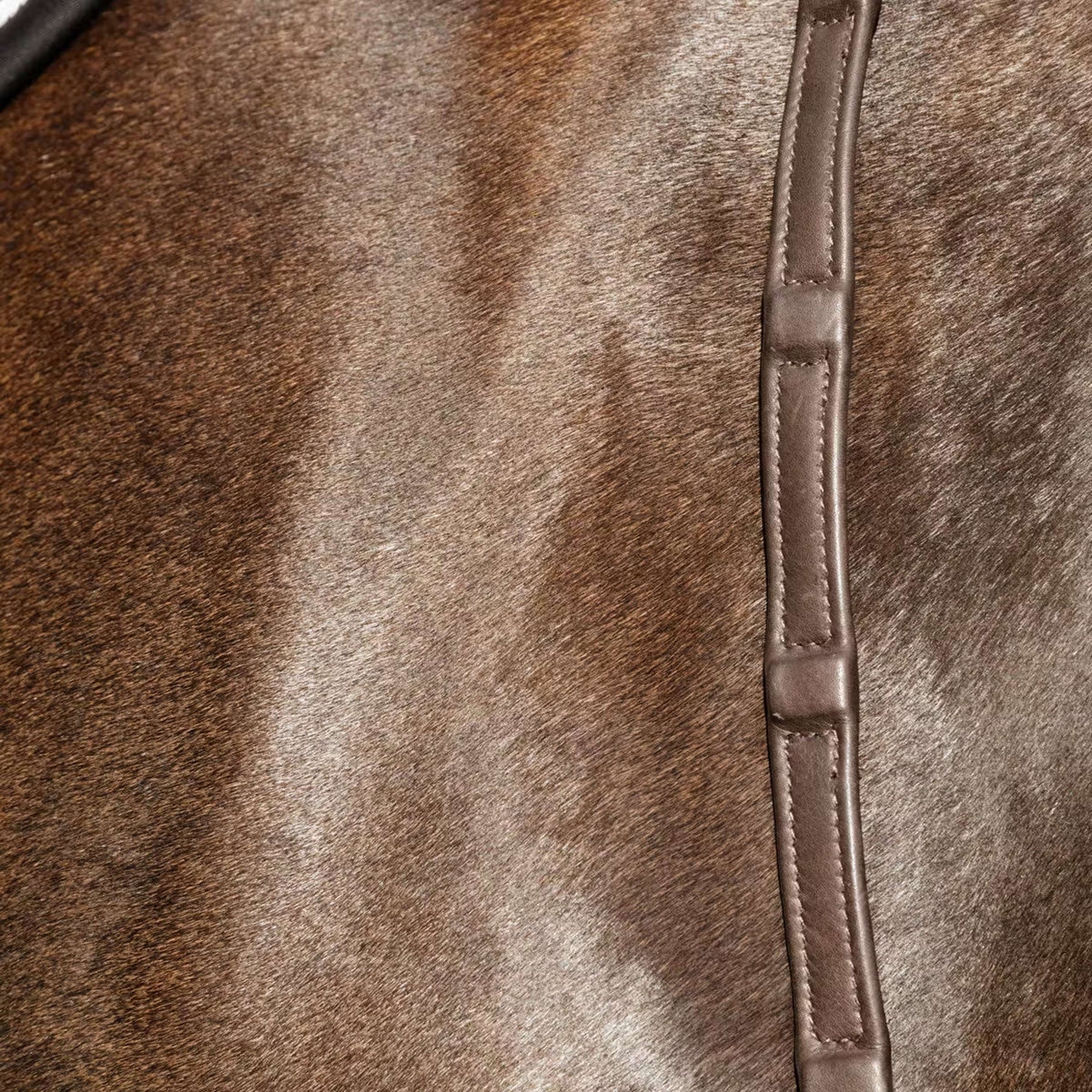Dyon Rênes 1/2 8 Stops Soft Cuir Marron