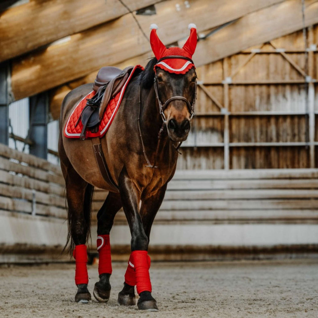 EQUITHÈME Bonnet Anti-Mouches Noël Rouge