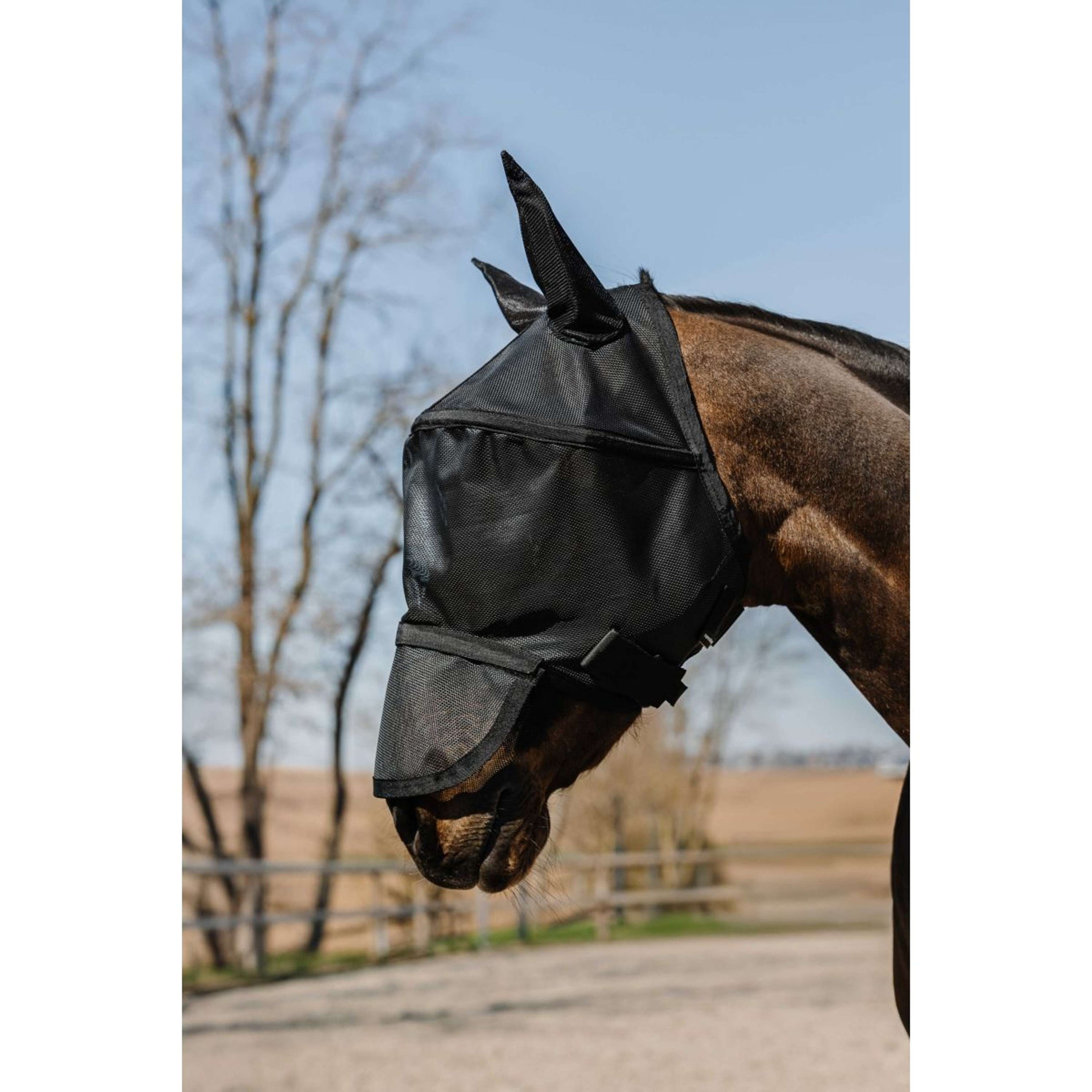 EQUITHÈME Masque Anti-Mouches Protec avec Protection UV Noir