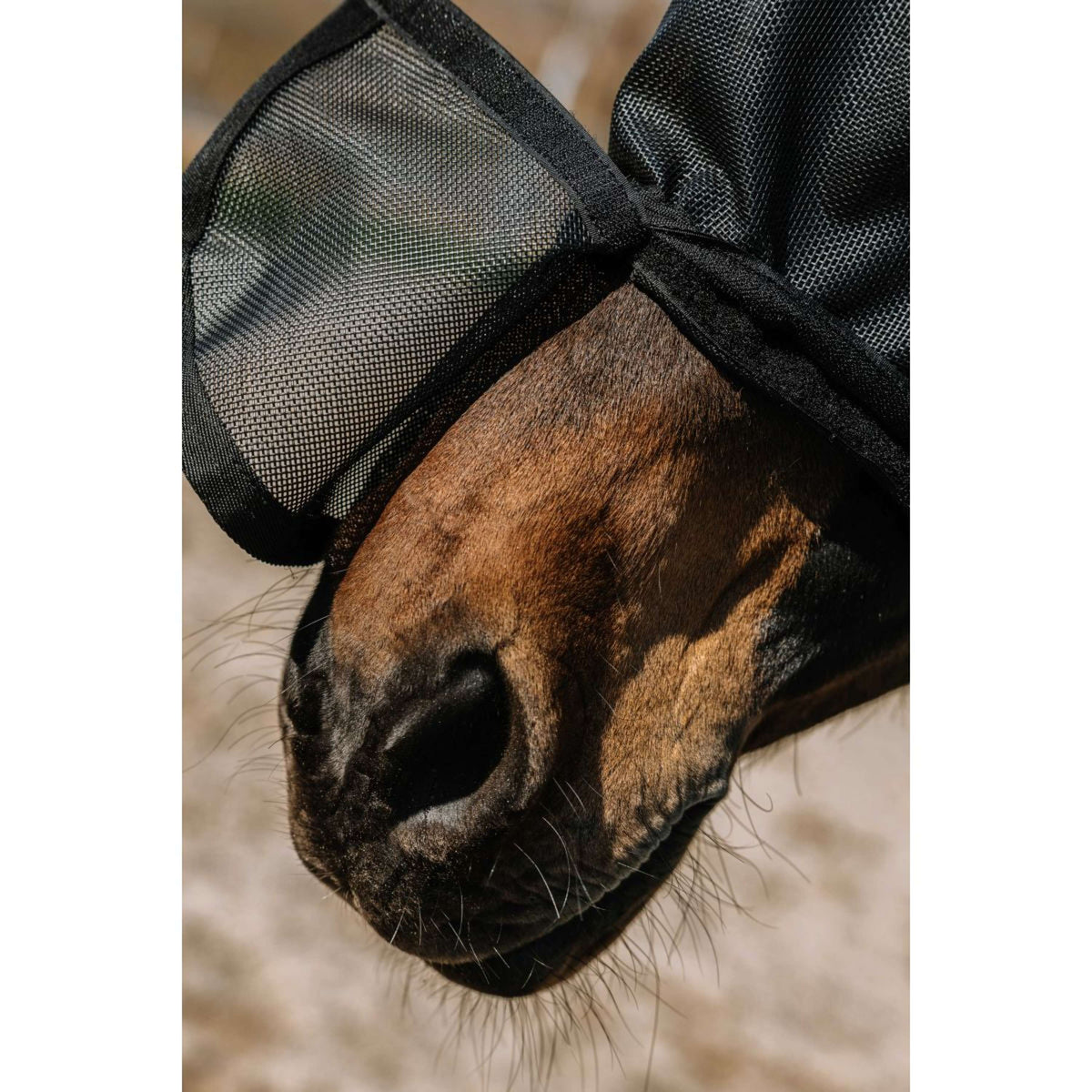 EQUITHÈME Masque Anti-Mouches Protec avec Protection UV Noir