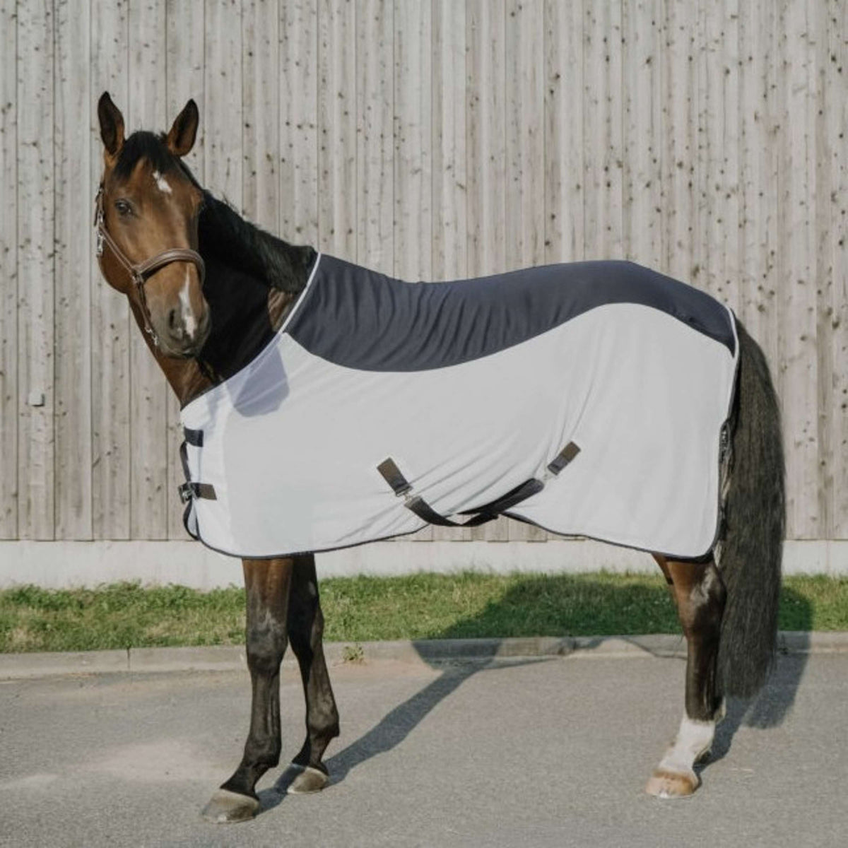 EQUITHÈME Couverture Anti-Mouches Flycool Standard Marine/Blanc