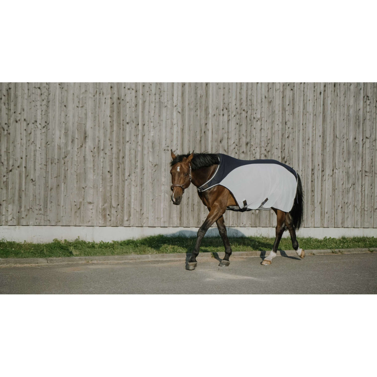 EQUITHÈME Chemise de Marcheur Flycool Marine/Blanc