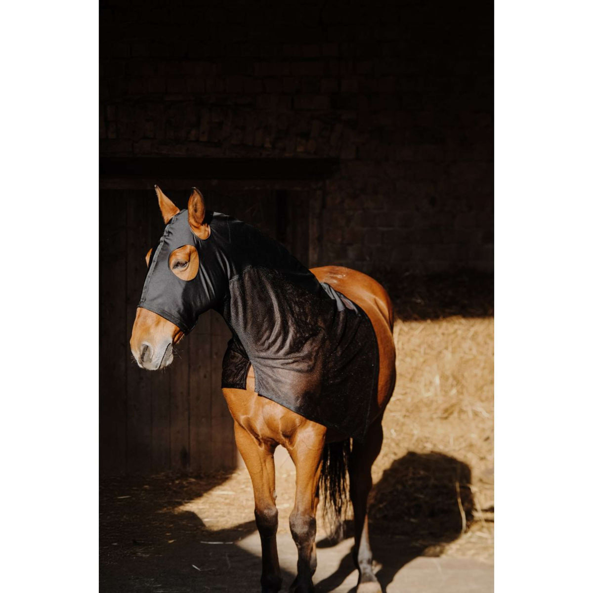 EQUITHÈME Protecteur de cou Lycra/Mesh Noir