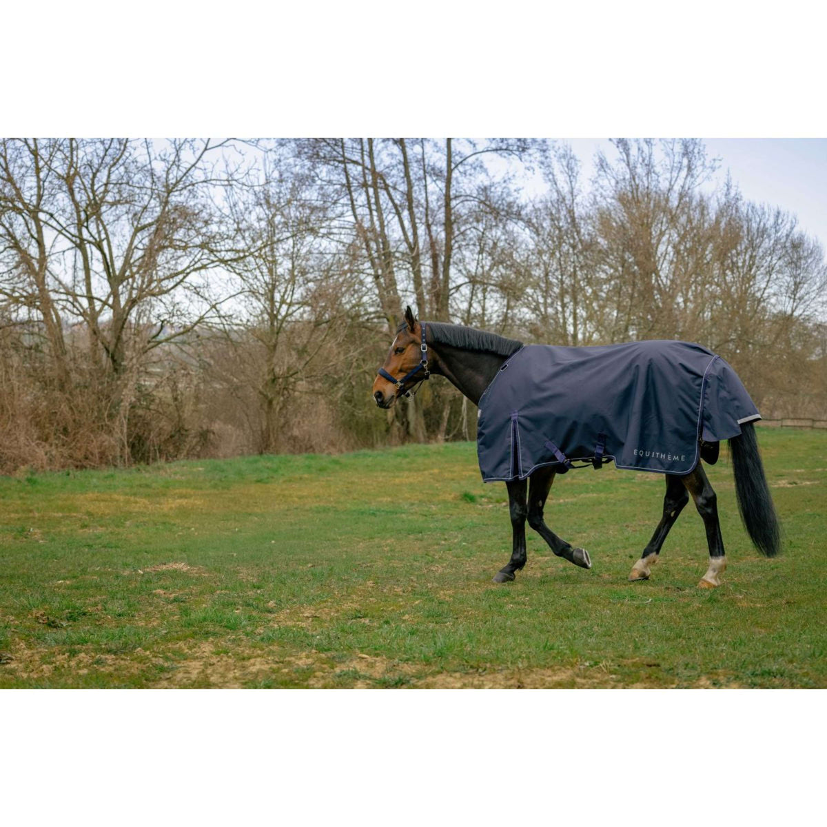 EQUITHÈME Couverture d'Extérieur Anatomic 1200D 200g Marin