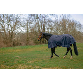 EQUITHÈME Couverture d'Extérieur Anatomic 1200D 200g Marin