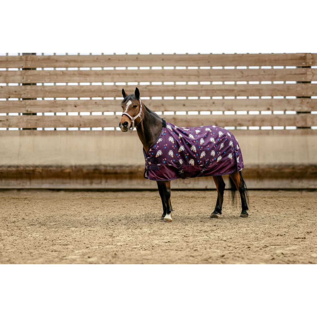 EQUITHÈME Couverture Turnout Unicorn 600D 0g Prune