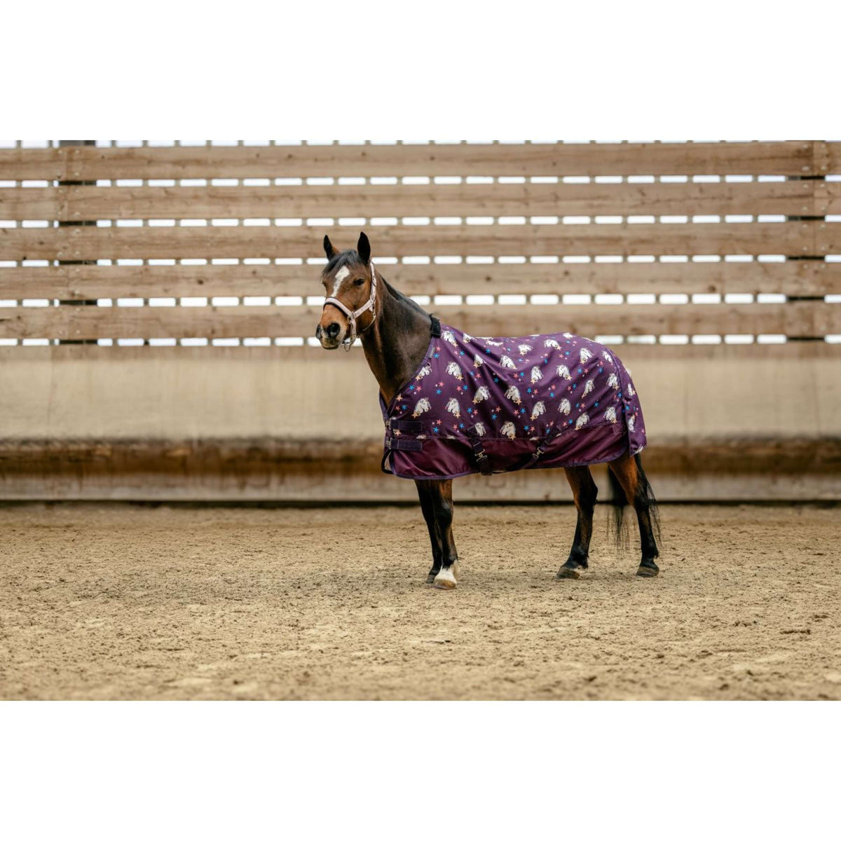 EQUITHÈME Couverture Turnout Unicorn 600D 0g Prune