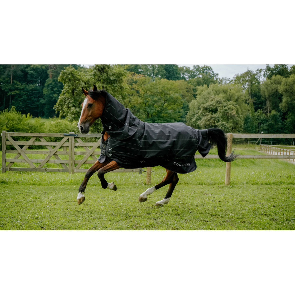 EQUITHÈME Couverture Imperméable TYREX Lumin 600D 0g Noir