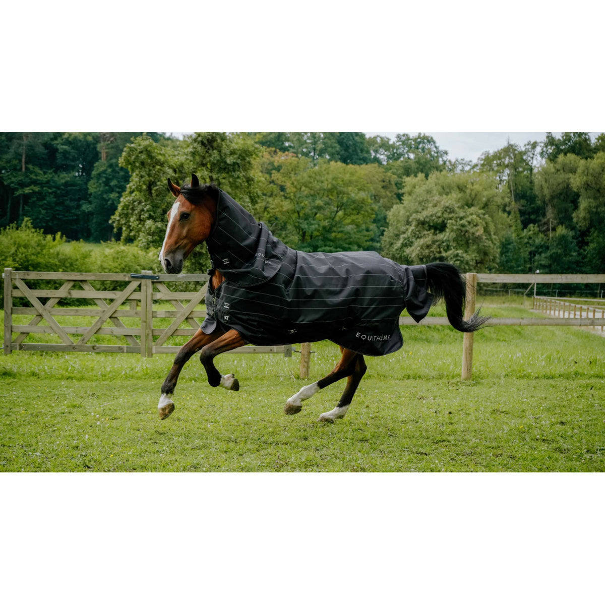 EQUITHÈME Couverture Imperméable Lumin 600D 50g Noir
