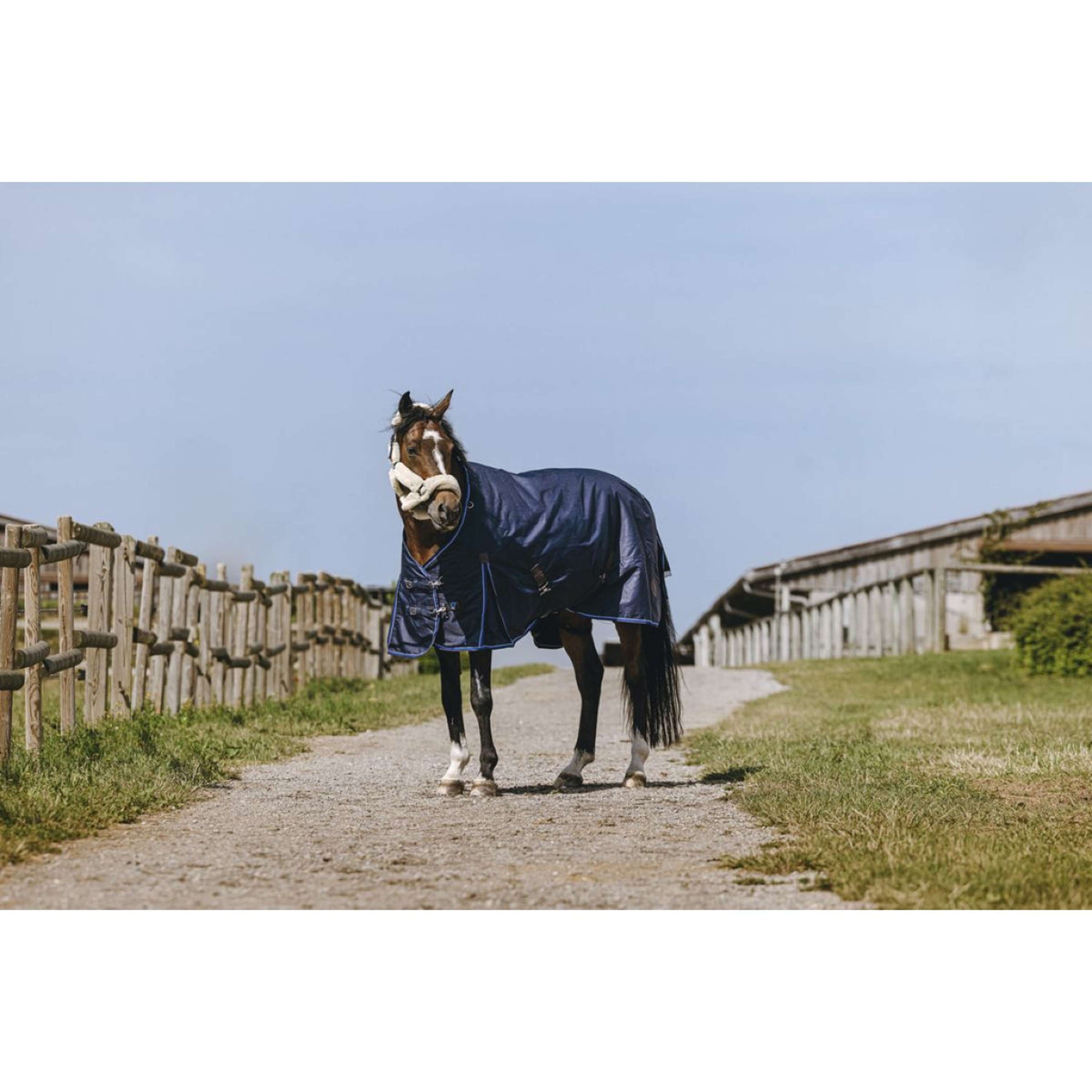 EQUITHÈME Couverture d'Extérieur Classic 1200D High Neck 200g Marin EQUITHÈME Couverture d'Extérieur Classic 1200D High Neck 200g Marin