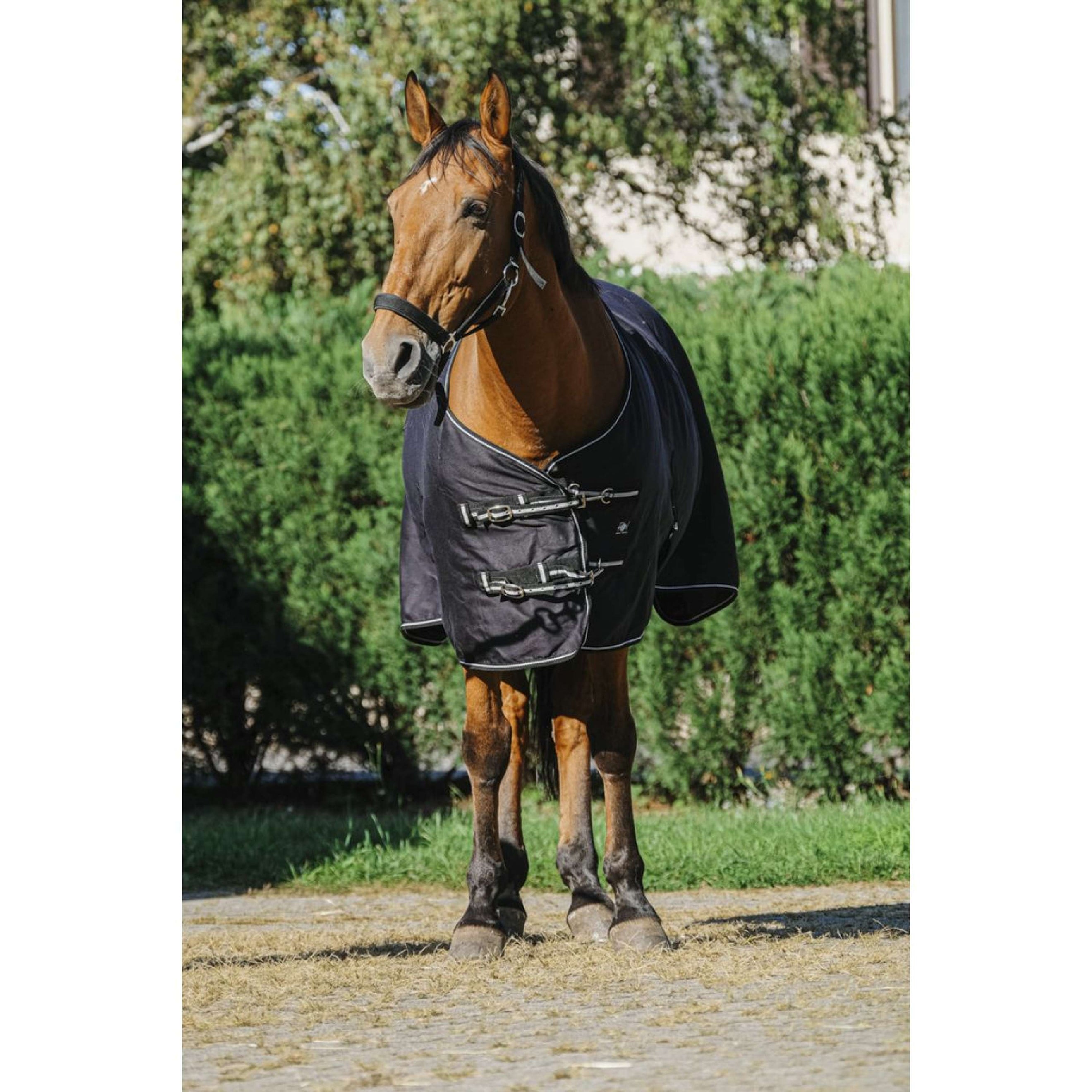 Riding World Couverture d'Été Brillante Noir Riding World Couverture d'Été Brillante Noir