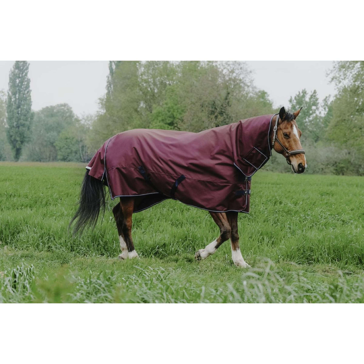 EQUITHÈME Couverture d'Extérieur Tyrex 1200D 200g Combo Bordeaux