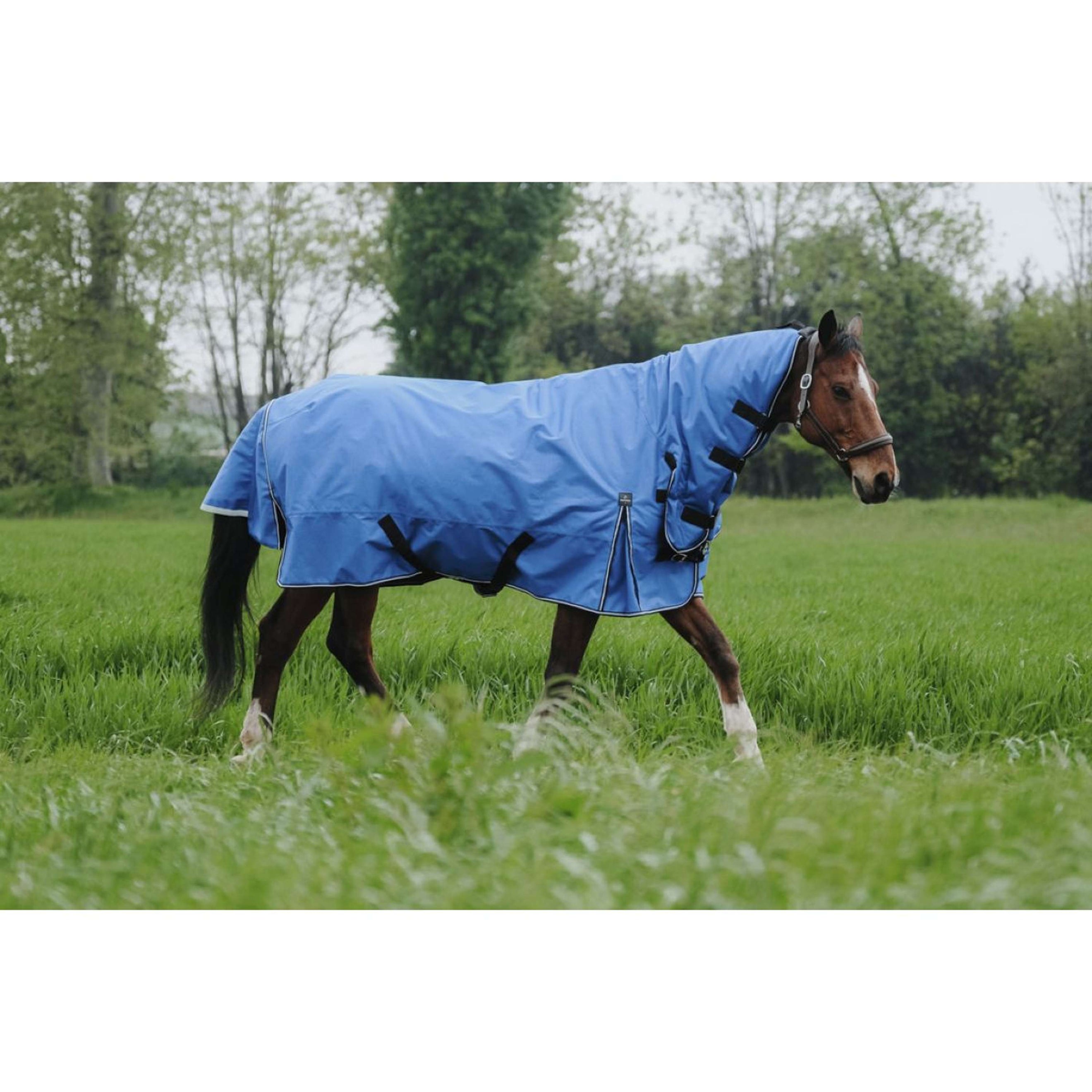 EQUITHÈME Couverture d'Extérieur Tyrex 1200D 300g Aisance Combo Bleu Royal EQUITHÈME Couverture d'Extérieur Tyrex 1200D 300g Aisance Combo Bleu Royal