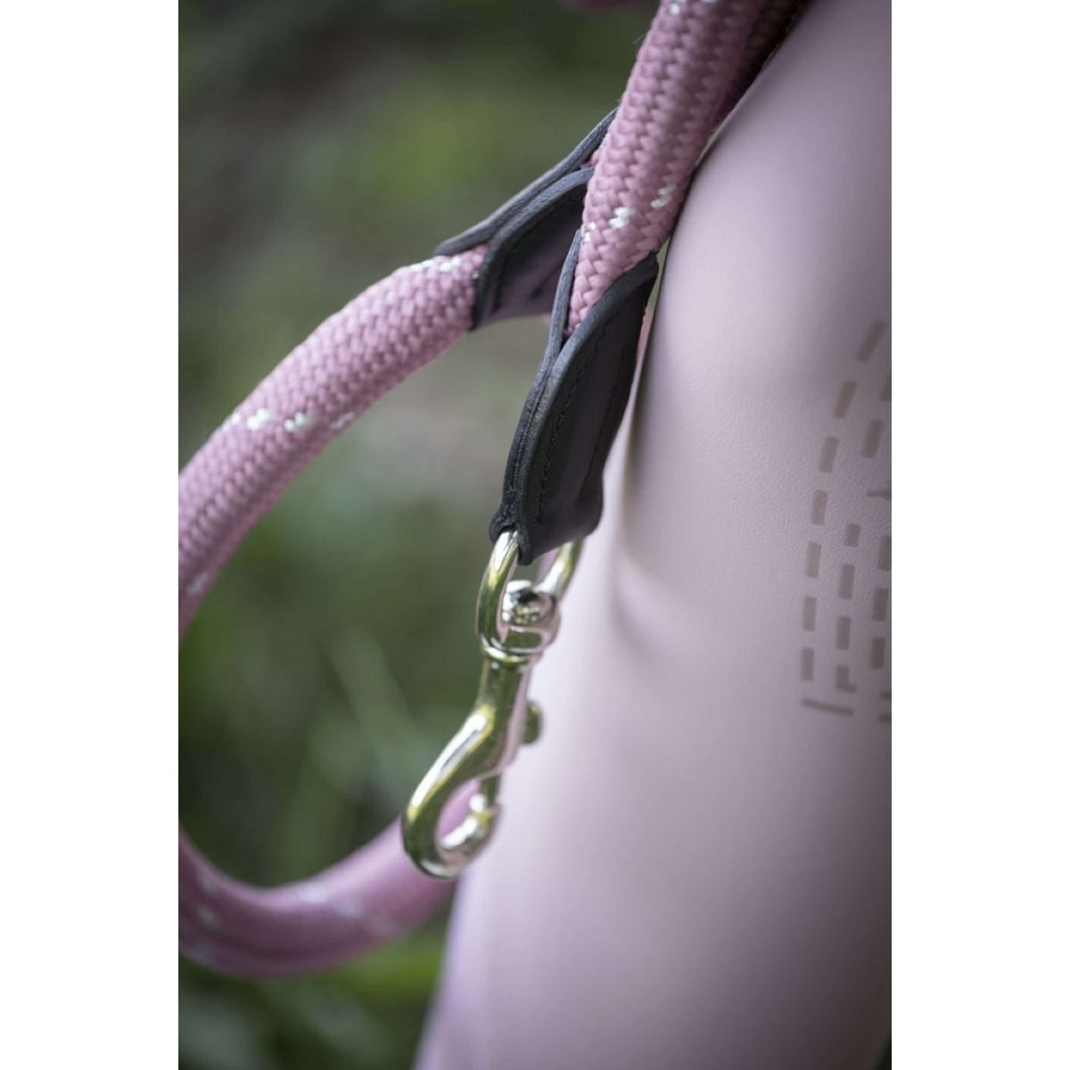 Pénélope Laisse pour Chien Billie Rose/Blanc