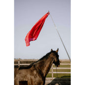 Hippotonic Bâton d'entraînement Ethologisch avec drapeau Rouge