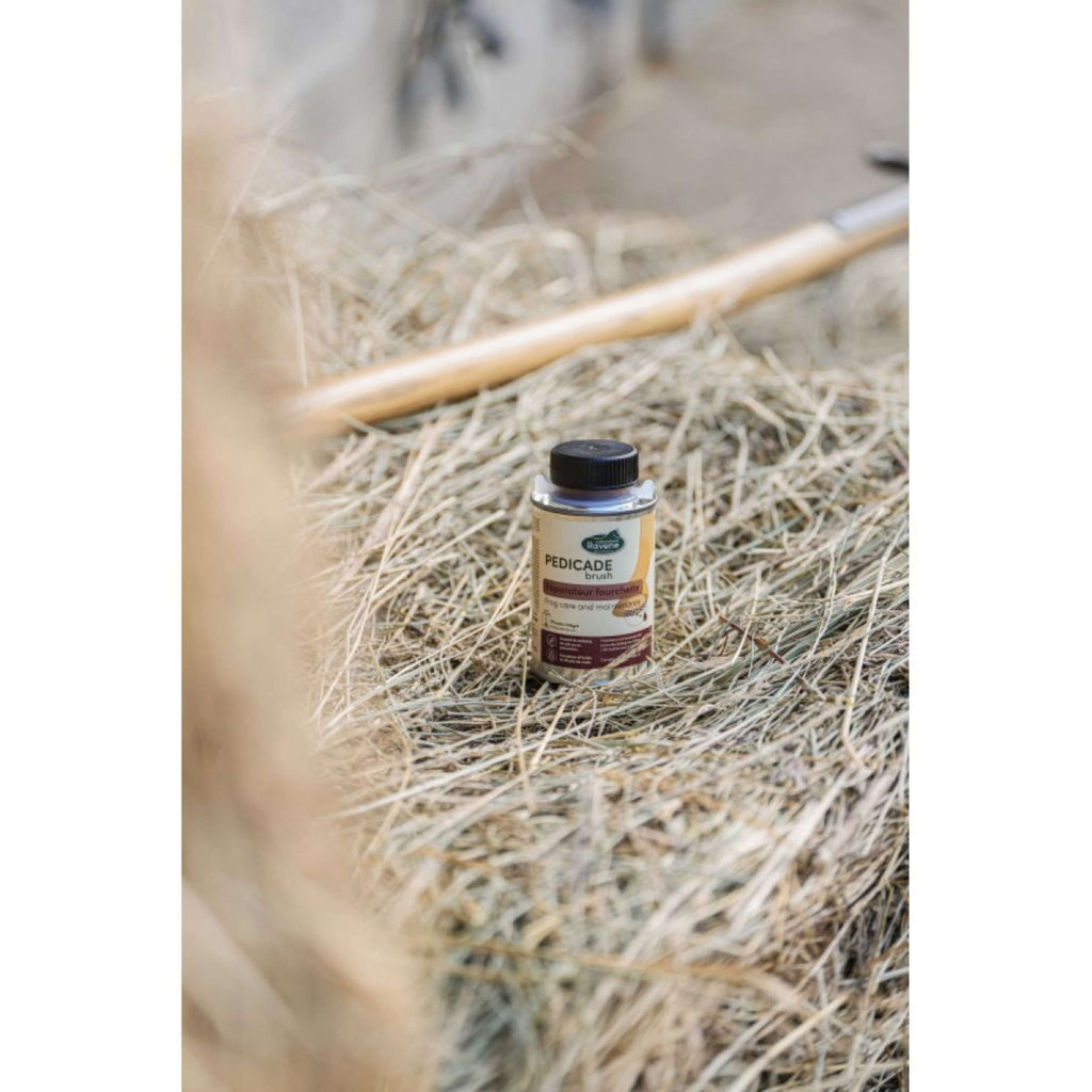 Ravene Pedicade Brush pour Sabots Chevaux