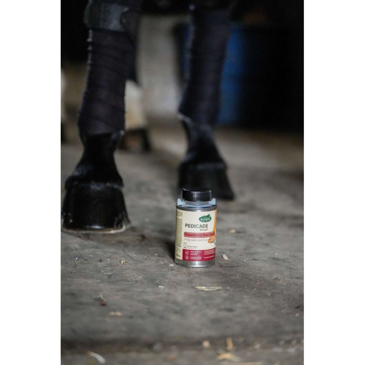 Ravene Pedicade Brush pour Sabots Chevaux