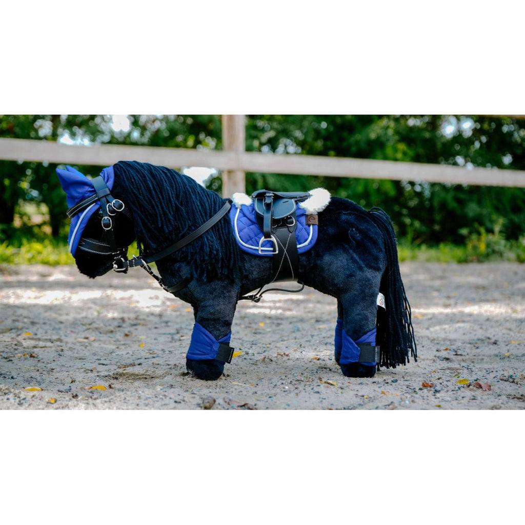 EQUITHÈME Pony Academy Eclair