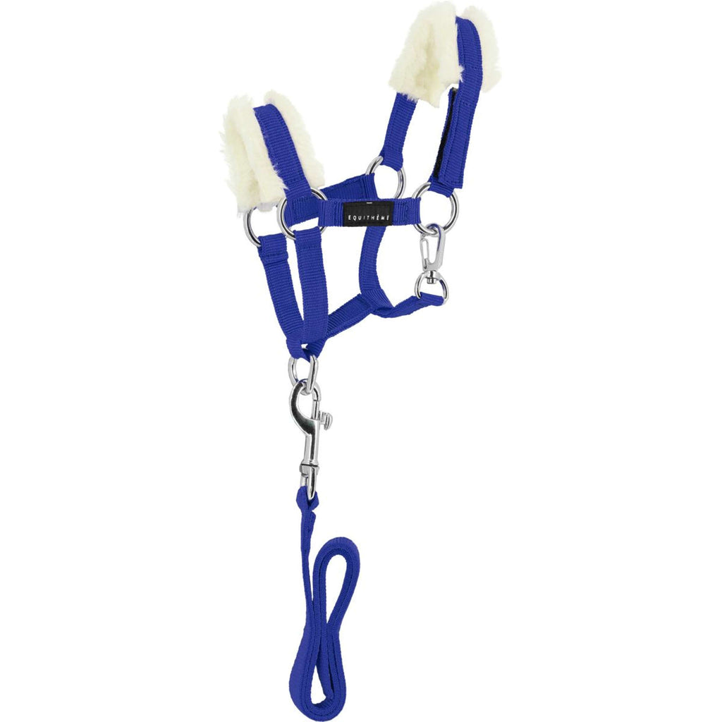 EQUITHÈME Pony Academy Ensemble Licol Bleu Royal