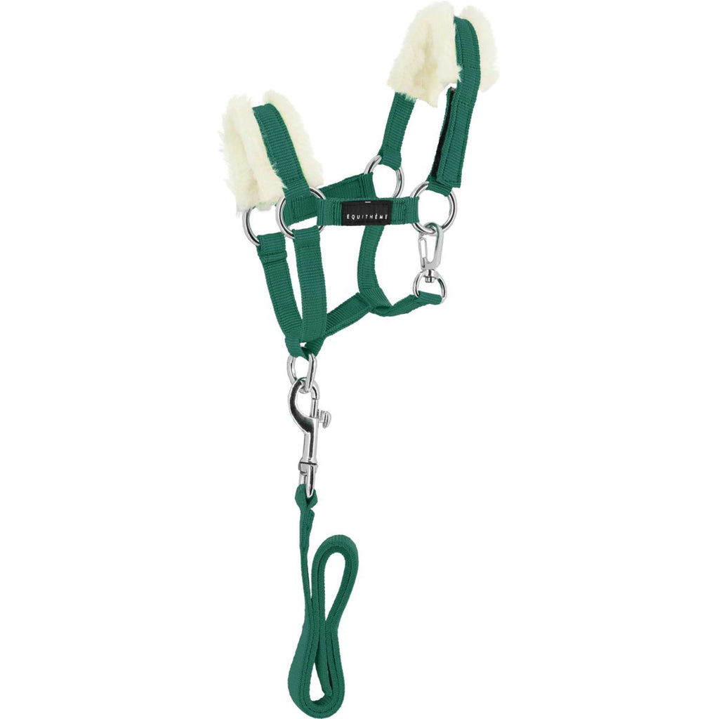 EQUITHÈME Pony Academy Ensemble Licol Vert foncé