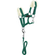 Vert foncé