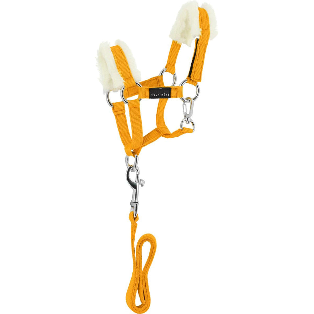 EQUITHÈME Pony Academy Ensemble Licol Jaune