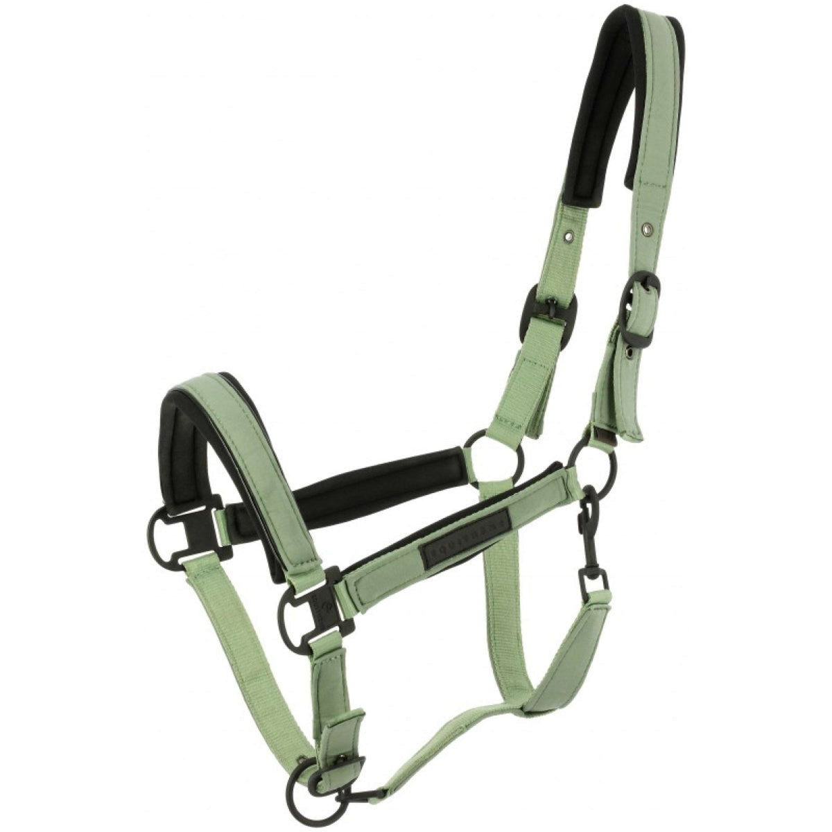 EQUITHÈME Licol Pearl Vert
