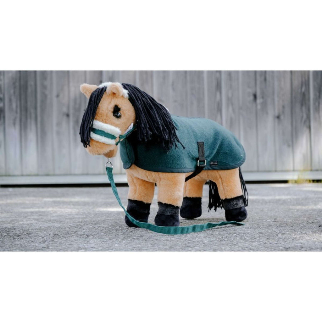 EQUITHÈME Pony Academy Set de tapis d'exposition Mini Vert foncé