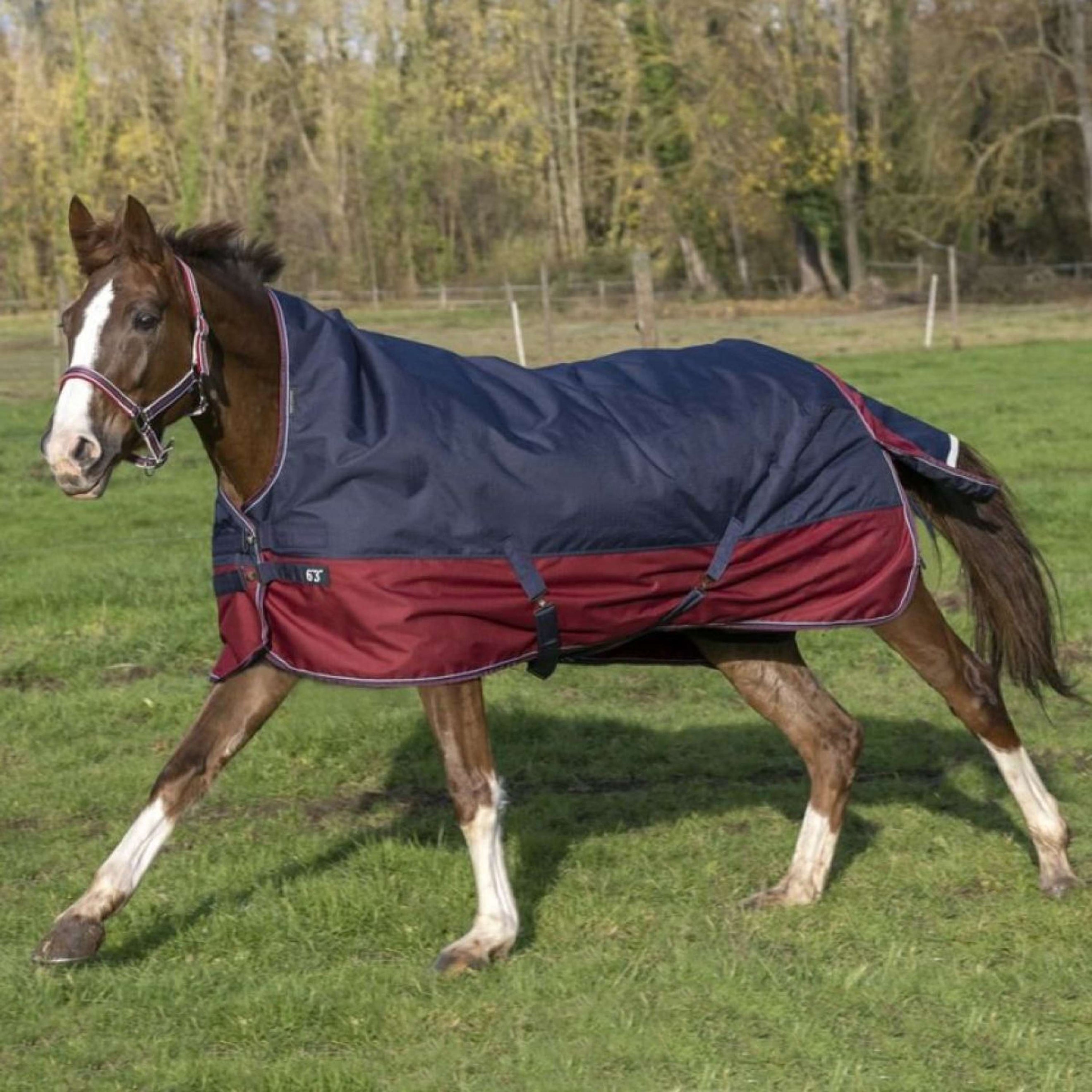 EQUITHÈME Couverture d'Extérieur Tyrex 1200D 150g avec Demi Cou Marine/Bordeaux