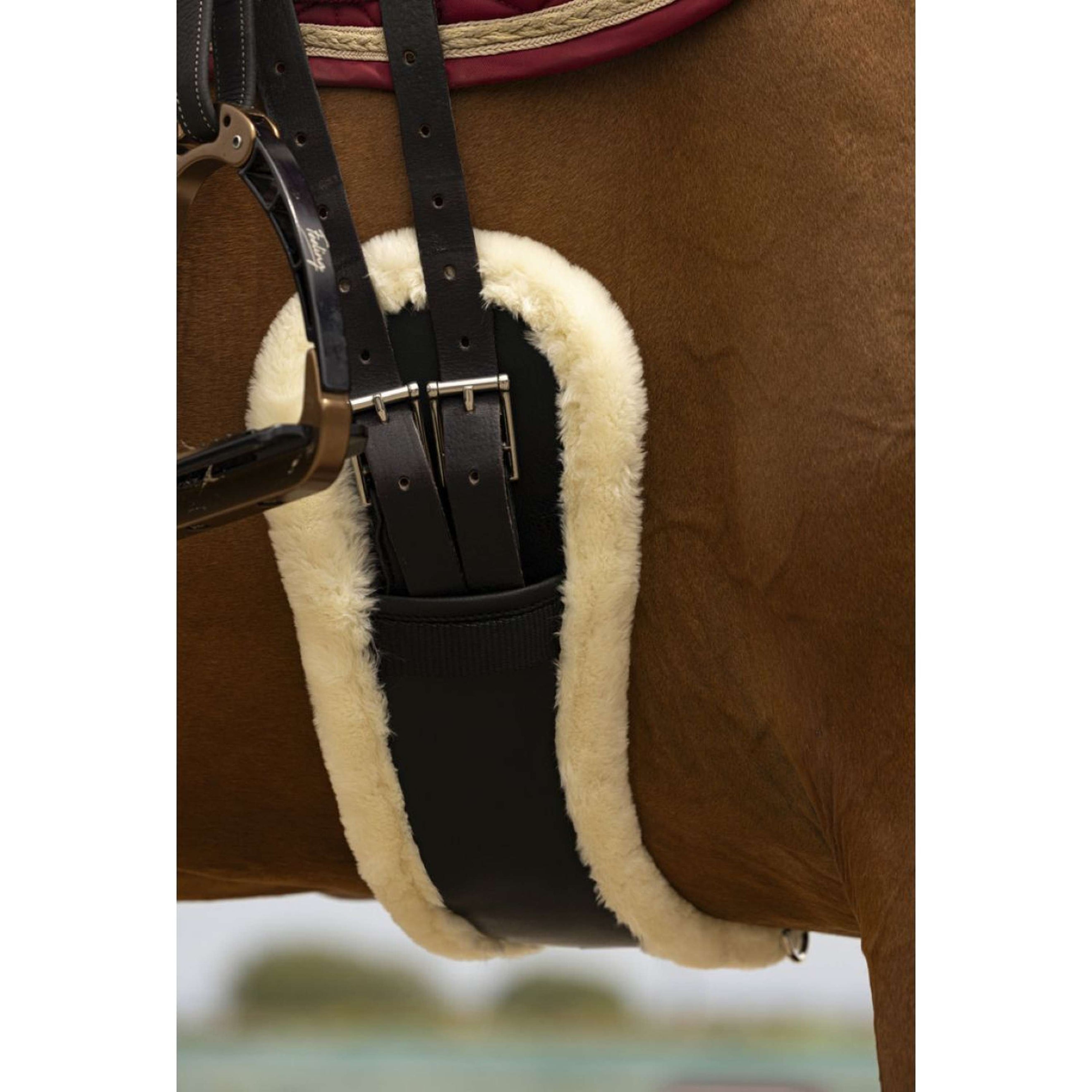 Norton Sangle de Dressage XTR avec Peau de Mouton Synthétique Noir/Écru Norton Sangle de Dressage XTR avec Peau de Mouton Synthétique Noir/Écru