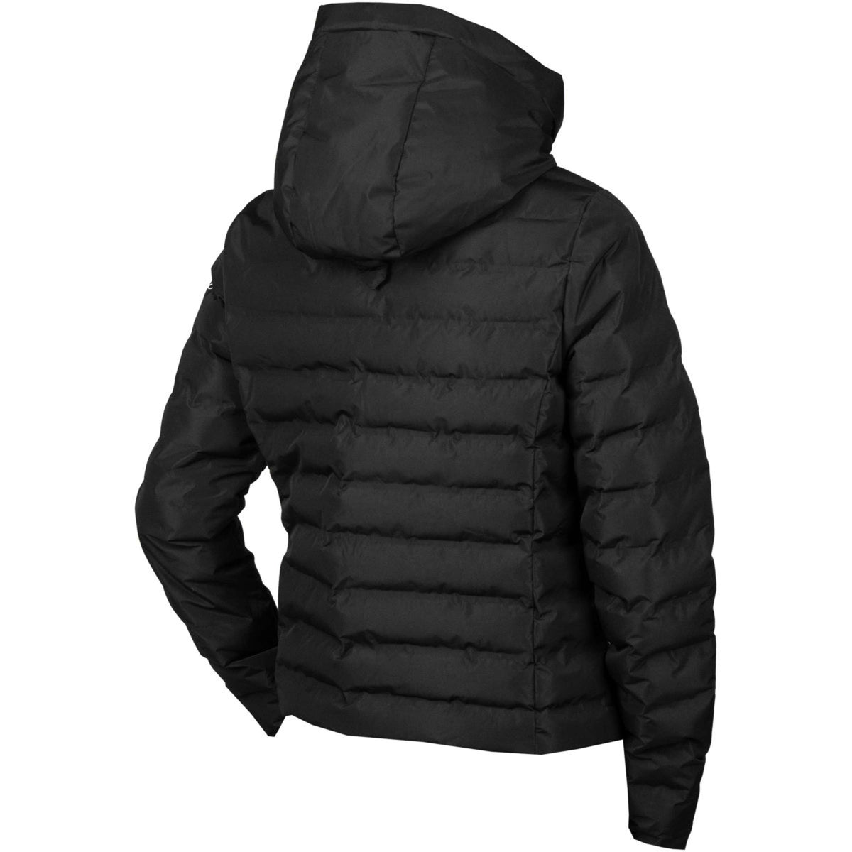 EQPRO Veste Violet Matelassé Noir