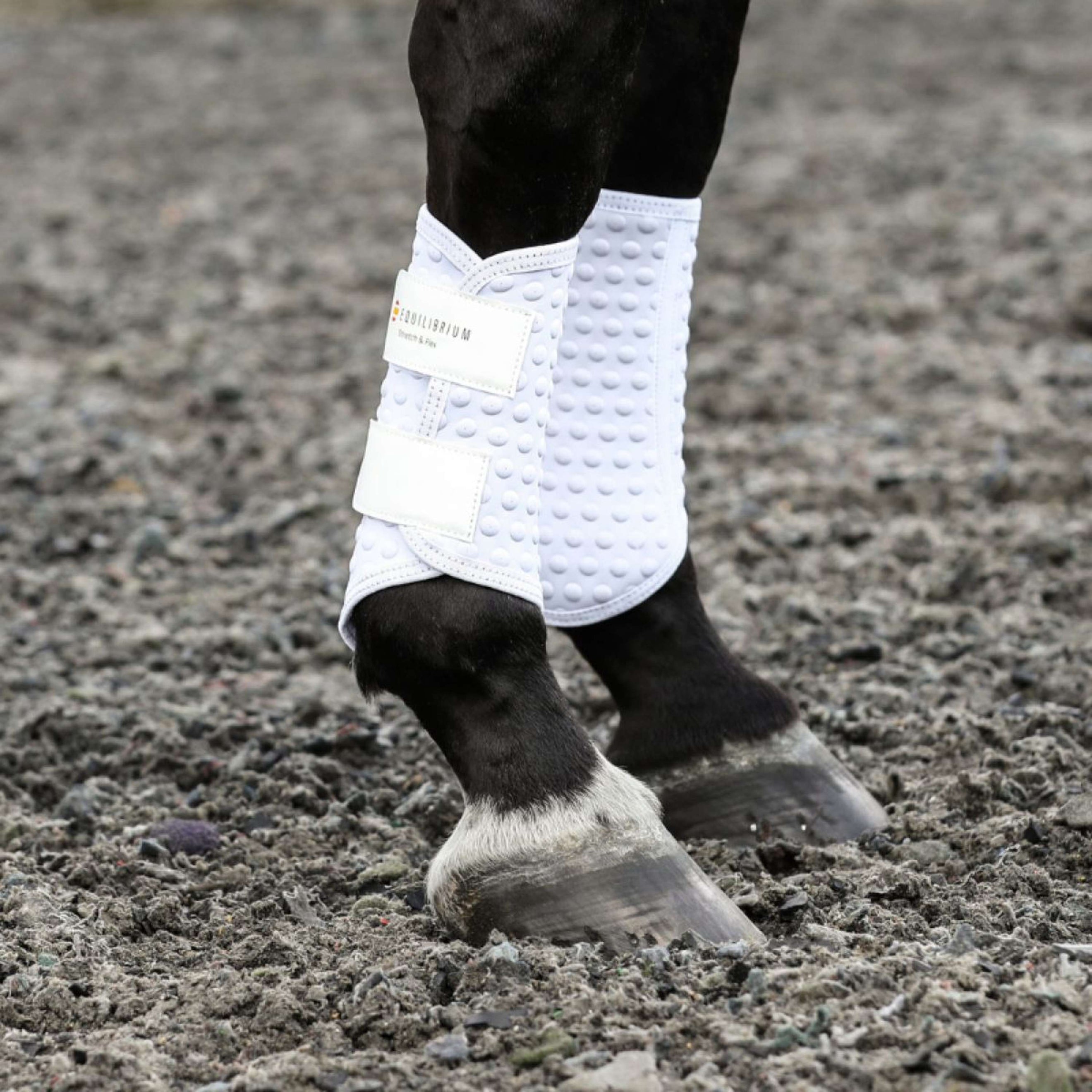 Equilibrium Guêtres Stretch & Flex Flatwork Blanc Equilibrium Guêtres Stretch & Flex Flatwork Blanc