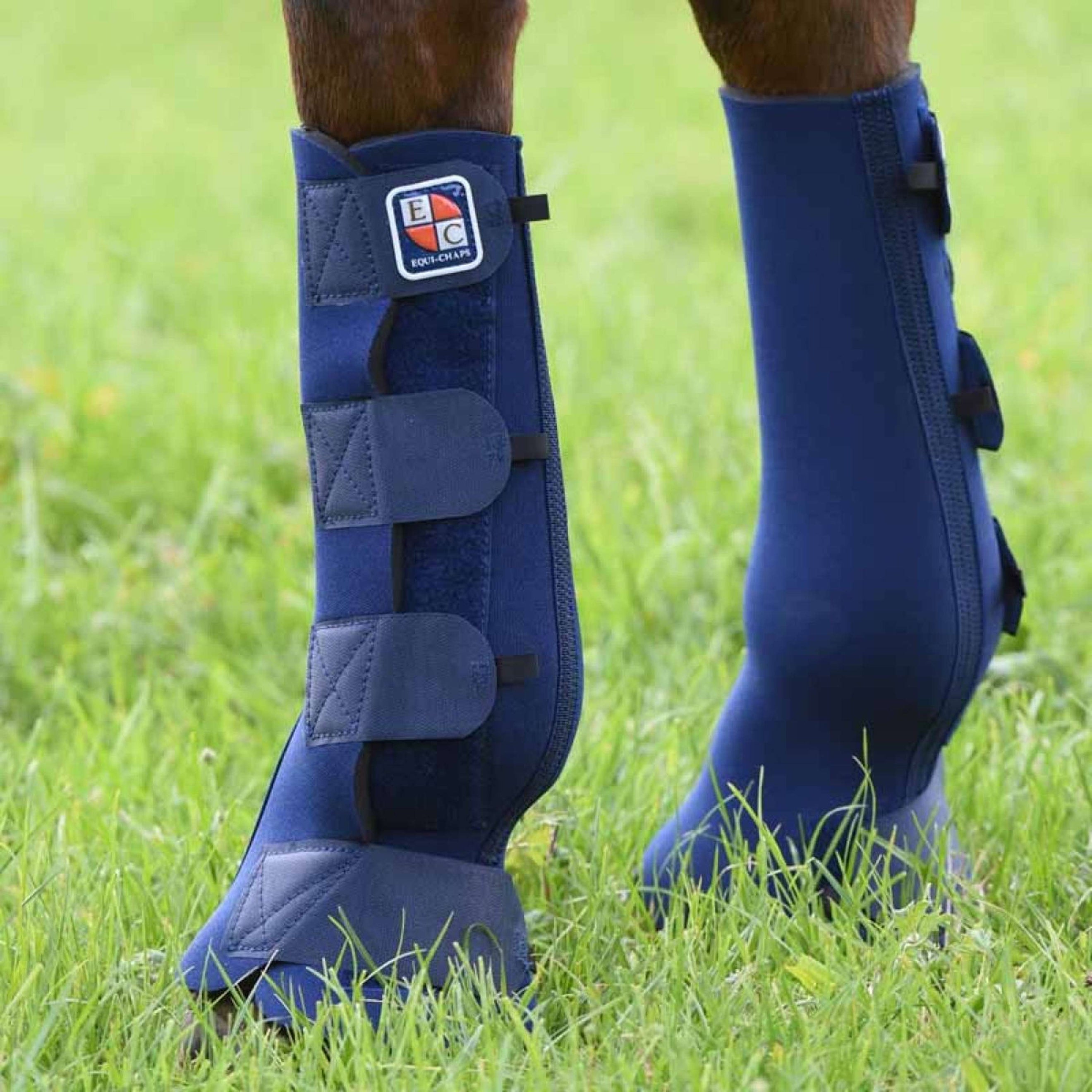 Equilibrium Guêtres Equi-Chaps Hardy Marin Equilibrium Guêtres Equi-Chaps Hardy Marin