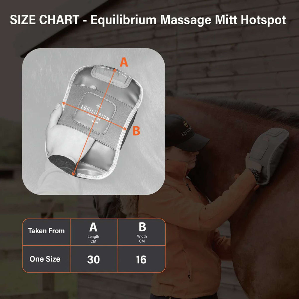 Equilibrium Gant de Massage Hotspot Gris