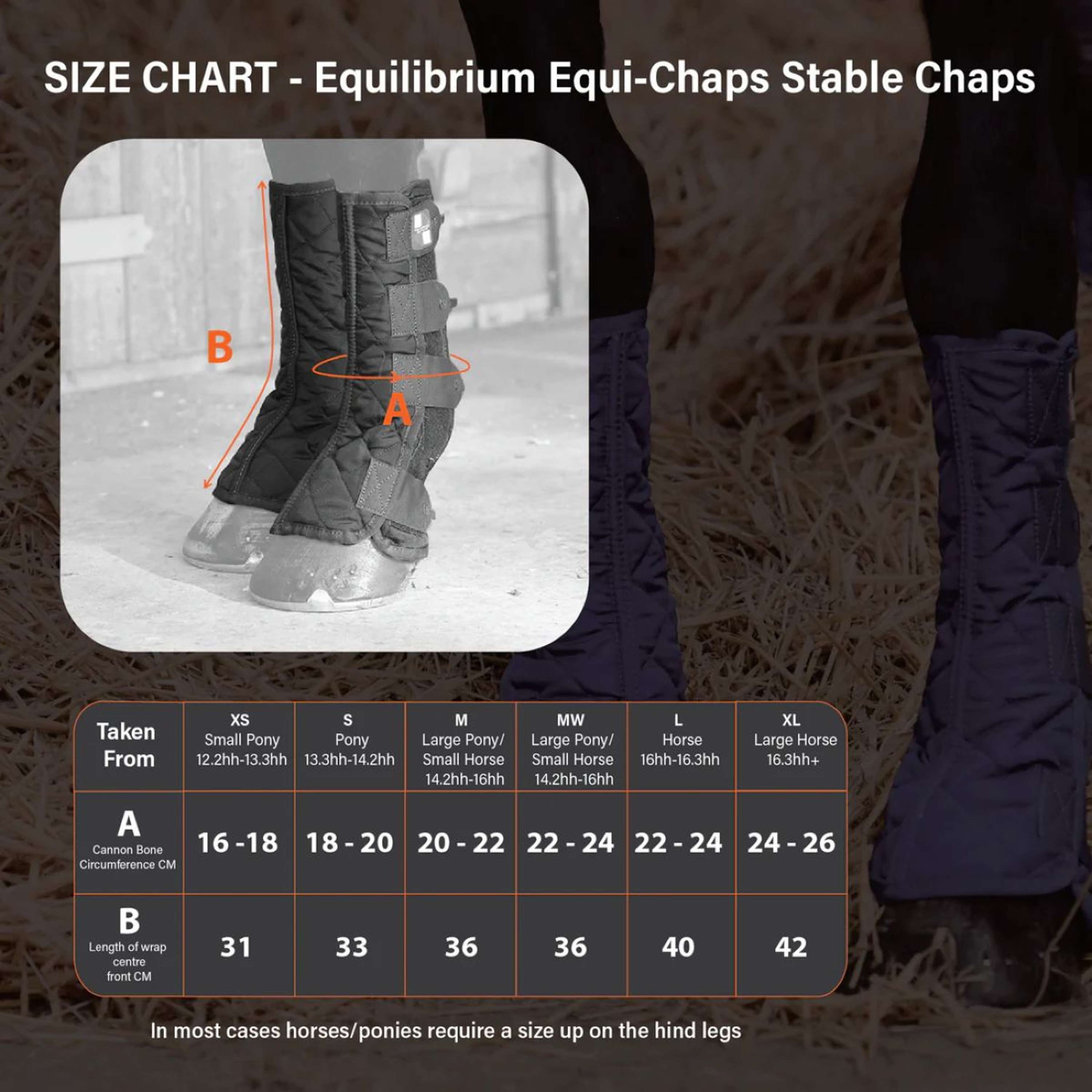Equilibrium Guêtres Equi-Chaps Stable Marin