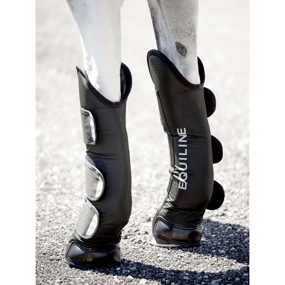 Equiline Guêtres de Transport Rex Noir